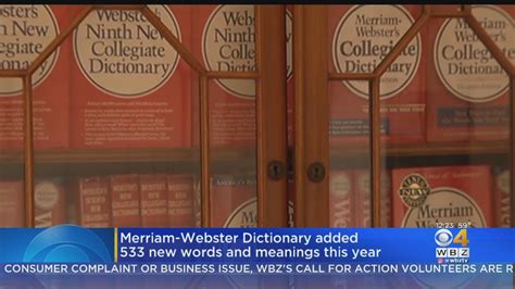 533 urban dictionary|Merriam.